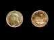 Moneda aur 1/10 oz Krugerrand 
 Cod produs: 17