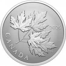 Moneda argint Gleaming  Maple Leaves - la comanda