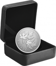 Moneda argint Gleaming  Maple Leaves - la comanda