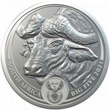 Big 5 Buffalo Brilliant 1 oz silver