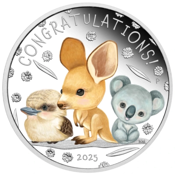 Moneda de Argint Colorat Newborn Baby